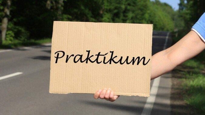 Praktikum gesucht