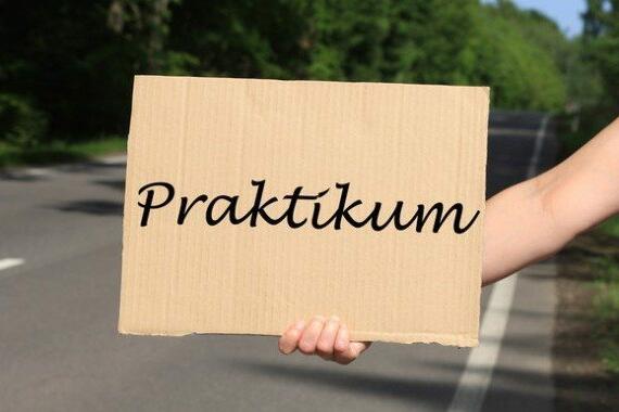 Praktikum gesucht