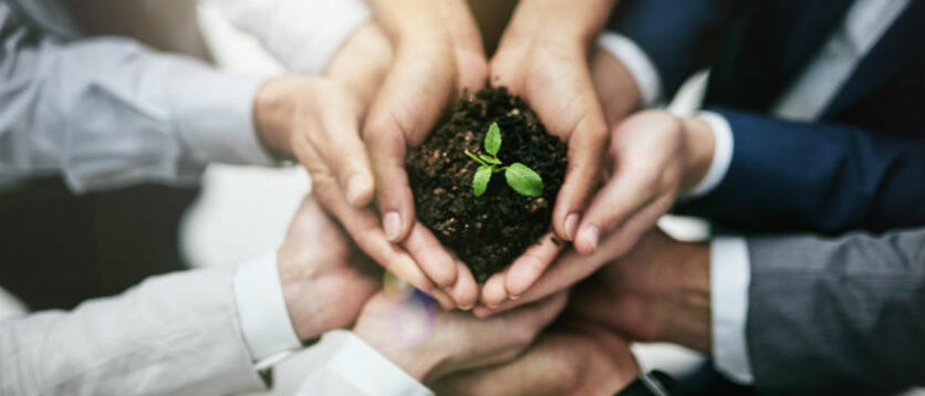 Nachhaltige Jobs sind besonders bei der jungen Generation begehrt