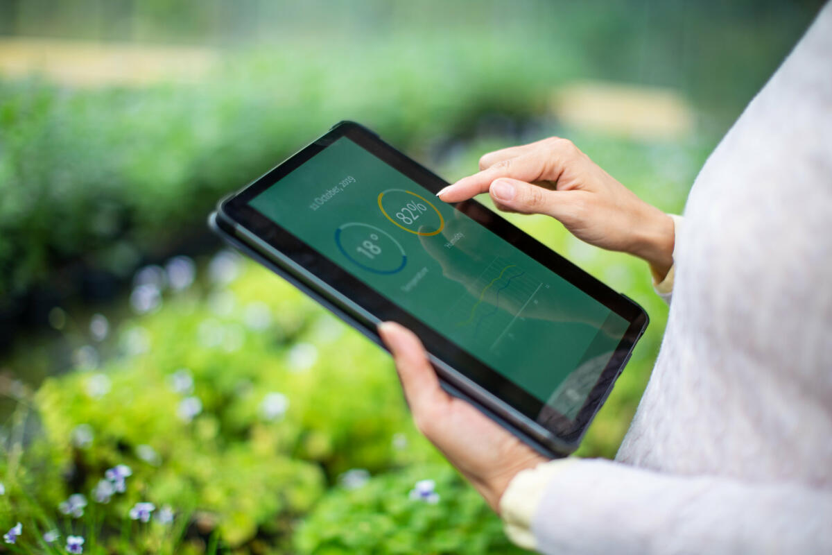 Eine Frau steht mit ihrem Tablet vor Pflanzen und analysiert deren Zustand mit Hilfe von Grafiken © Luis Alvarez / Getty Images